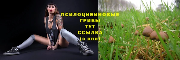винт Алзамай