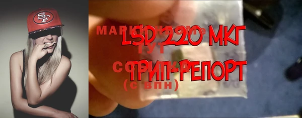 винт Алзамай