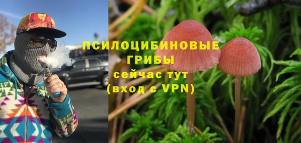 a pvp Алексеевка