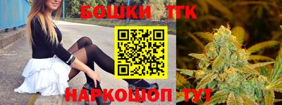 СК Пенза