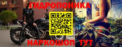 тгк Пугачёв