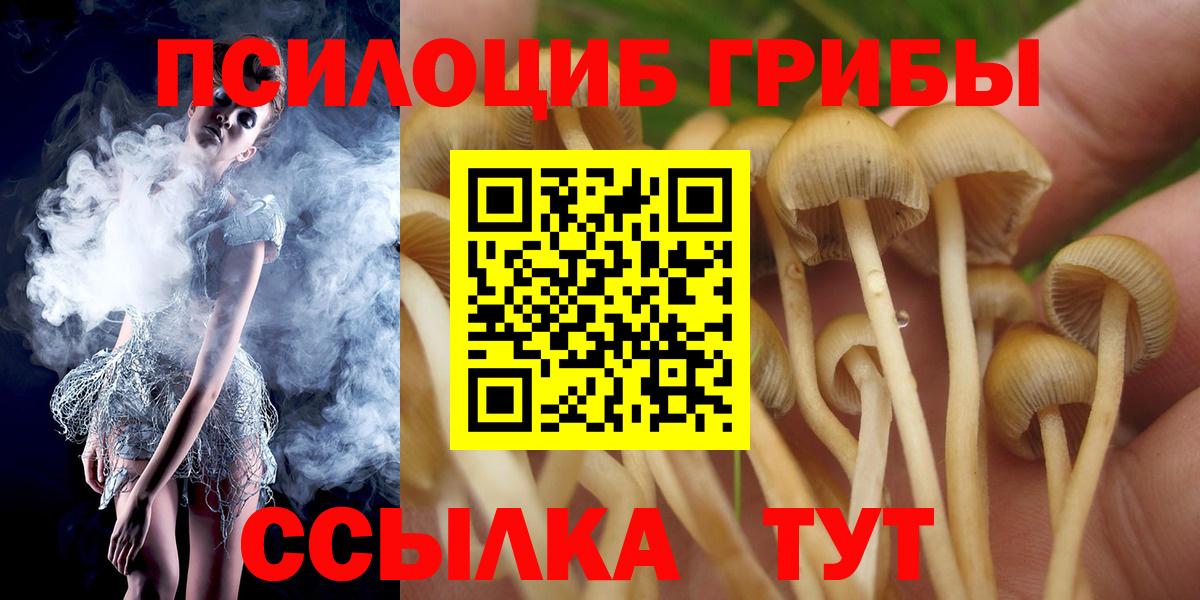 Галлюциногенные грибы GOLDEN TEACHER  Псилоцибиновые грибы Cubensis  Похвистнево  Вход с VPN 